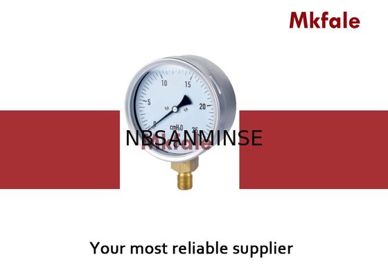 IP44 ব্রাস সংযোগ তরল ভরাট জল চাপ গেজ 63mm 75mm 100mm 160mm