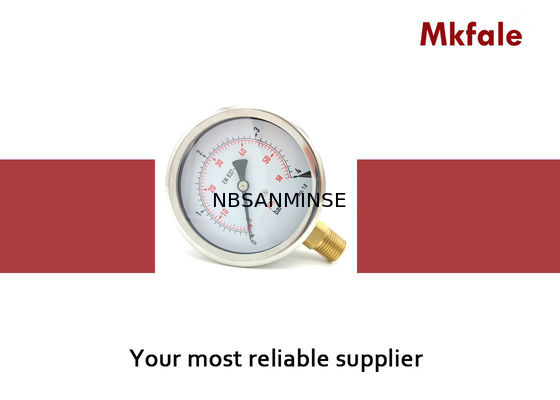 100 মিমি তরল ভরাট চাপ গেজ স্টেইনলেস স্টীল চাপ গেজ